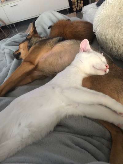 Die unbequemsten und lustigsten Schlafpositionen-Beitrag-Bild