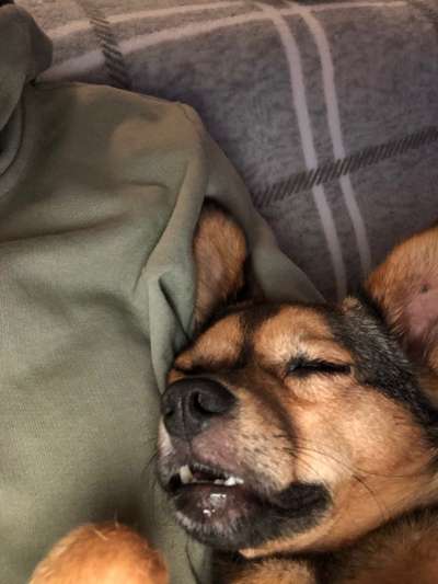 Die unbequemsten und lustigsten Schlafpositionen-Beitrag-Bild