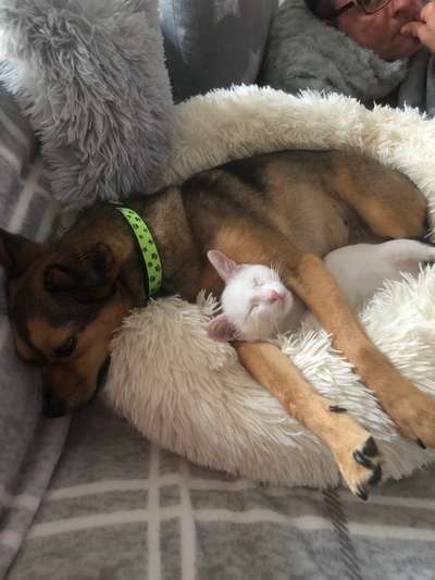 Die unbequemsten und lustigsten Schlafpositionen-Beitrag-Bild