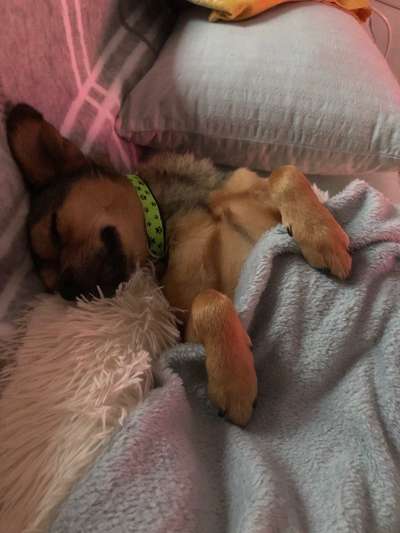 Die unbequemsten und lustigsten Schlafpositionen-Beitrag-Bild