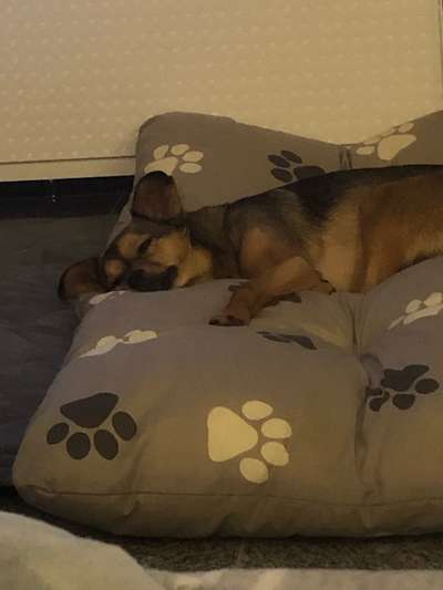 Die unbequemsten und lustigsten Schlafpositionen-Beitrag-Bild