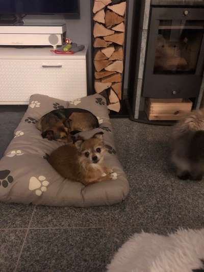 Die unbequemsten und lustigsten Schlafpositionen-Beitrag-Bild