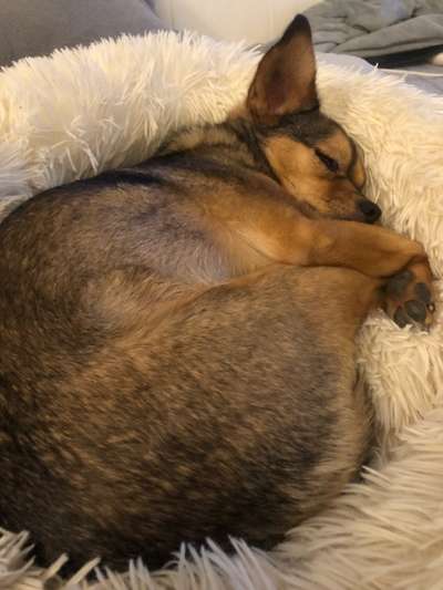 Die unbequemsten und lustigsten Schlafpositionen-Beitrag-Bild