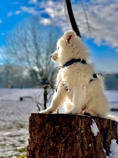 Challenge Nr. 15
Spiel im Schnee-Beitrag-Bild