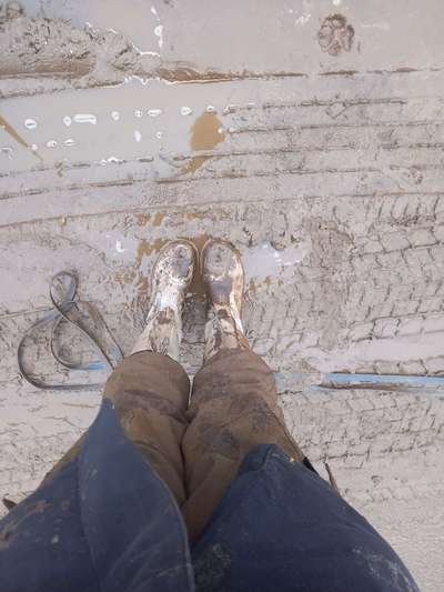 Indoor Aktivitäten für Menschen und Hunde-Beitrag-Bild