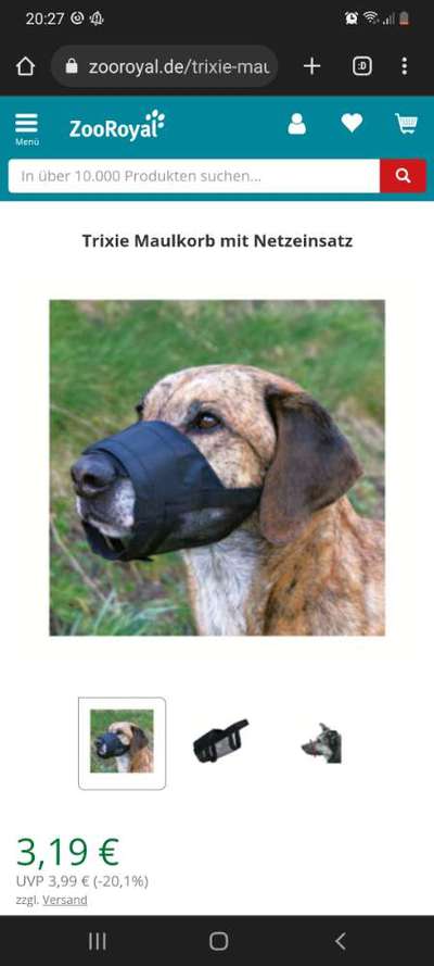 Mit dem Hund auf der Autofähre-Beitrag-Bild