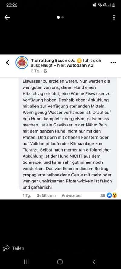 Brachycephale Hunderassen-Beitrag-Bild