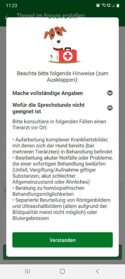 Guideline: Wann sollte ich zum Tierarzt gehen-Beitrag-Bild