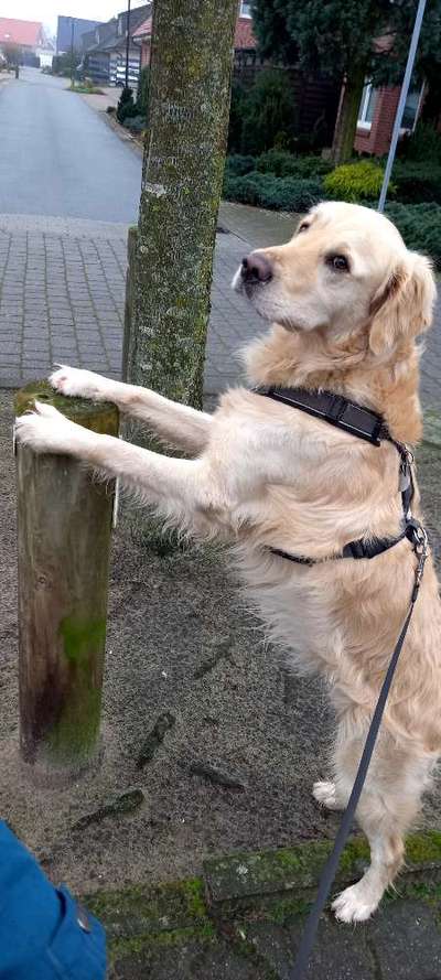 Trick Challenge ABC-Beitrag-Bild