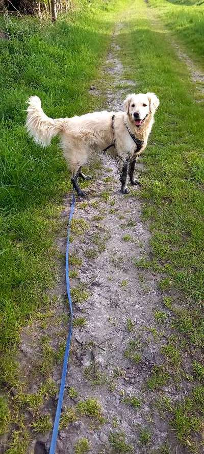 Schwimmen-Beitrag-Bild