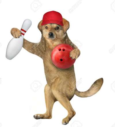 Indoor Aktivitäten für Menschen und Hunde-Beitrag-Bild