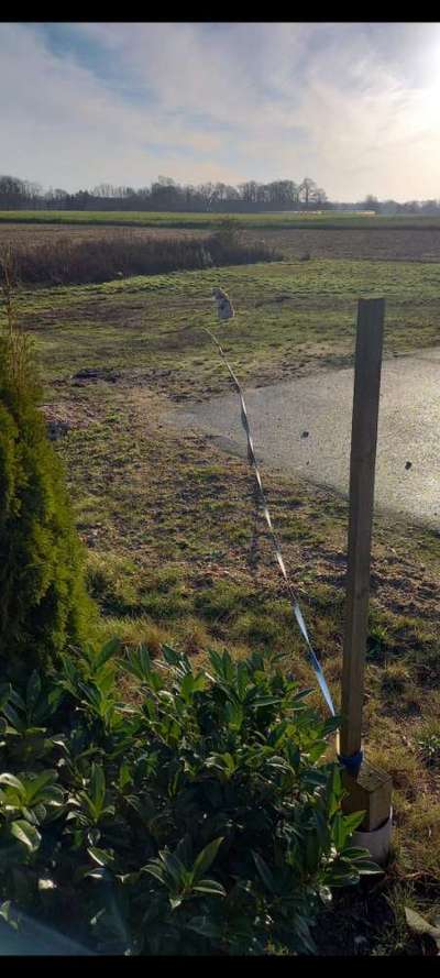 Vor die Tür oder In den Garten?-Beitrag-Bild