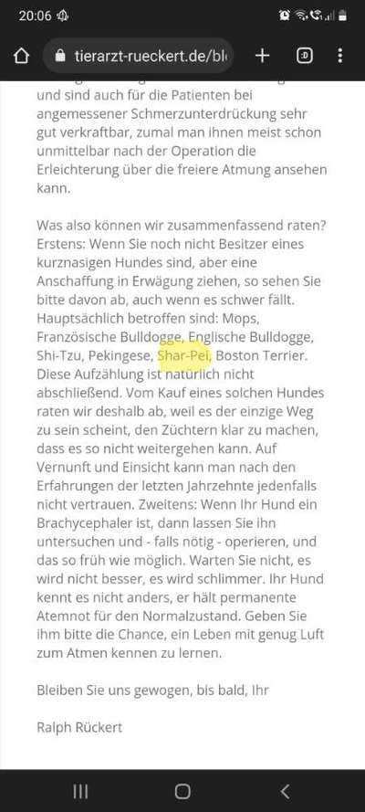 Brachycephale Hunderassen-Beitrag-Bild