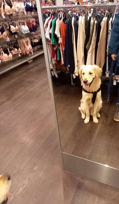 Impulskontrolle Challenge Nr.: 7
         "Gesellschaftsfähig"-Beitrag-Bild