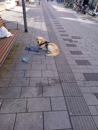 Impulskontrolle Challenge Nr.: 7
         "Gesellschaftsfähig"-Beitrag-Bild