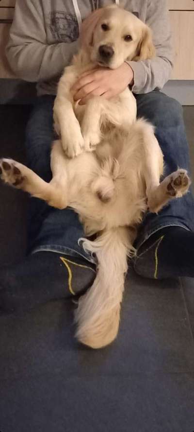 Fotochallenge Nr.65-Beitrag-Bild