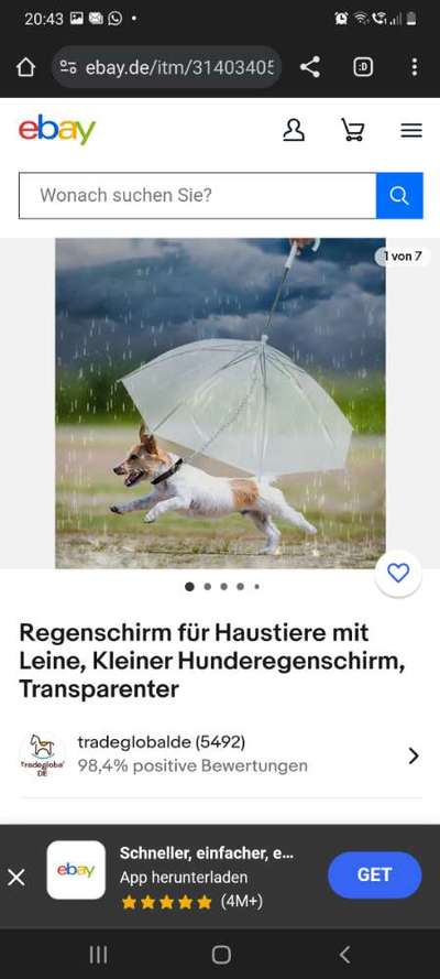 Sinnloser Krempel-Beitrag-Bild
