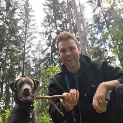 Hundetreffen-Spieltreffen/Sozialwalks gemeinsame Ausflüge-Bild