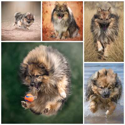 48. Collagen Challenge: Das Leben ist bunt-Beitrag-Bild