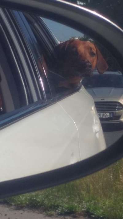 CHALLENGE NR. 18 - ON TOUR-Beitrag-Bild