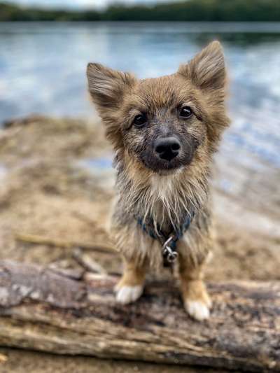 Theos Fotochallange Nummer 4-Beitrag-Bild