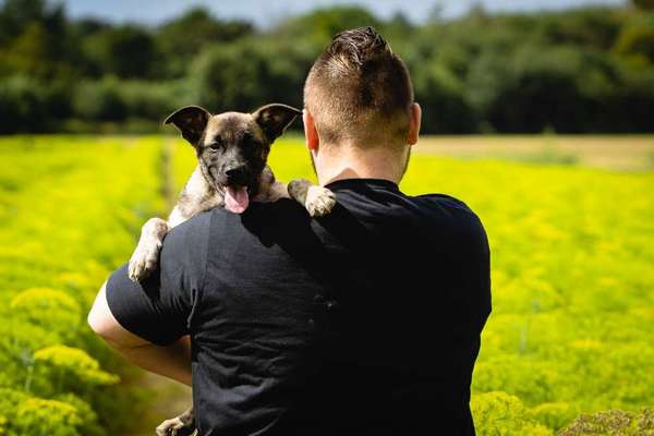 Euer schönstes Bild mit eurem Hund gemeinsam!-Beitrag-Bild