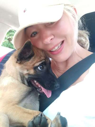 Zeigt eure Malinois!!!-Beitrag-Bild