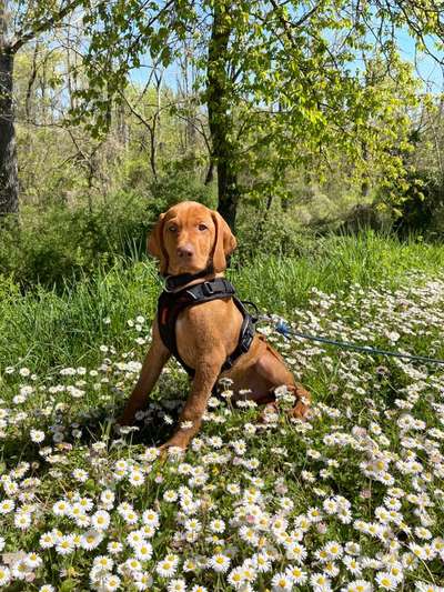 Fotochallenge 78

Es grünt und blüht-Beitrag-Bild