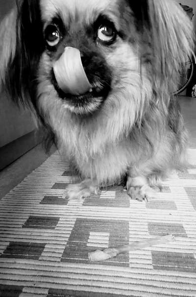 3. Farben/Fotochallenge: Schwarz/Weiß-Beitrag-Bild