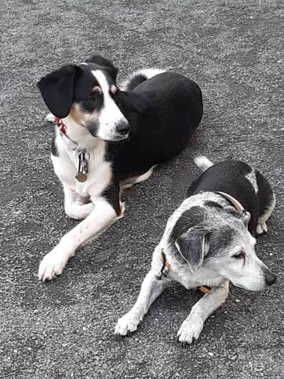 23. Handy Foto-Challenge-Beitrag-Bild