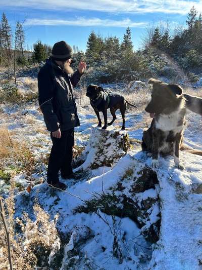 27. Handy Fotochallenge-Beitrag-Bild