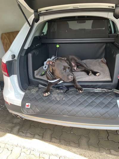 117. Fotochallenge-Beitrag-Bild