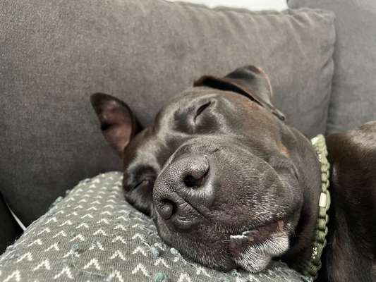 Foto Challenge Nr. 134-Beitrag-Bild