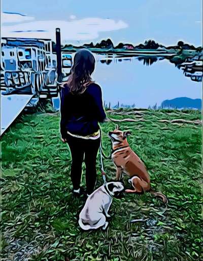 Hundetreffen-Treffen für Französisch Bulldoggen oder Mopsmischlingen-Bild