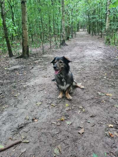 Nicht ganz alltägliche Hundenamen.
Wie kreativ wart ihr?-Beitrag-Bild