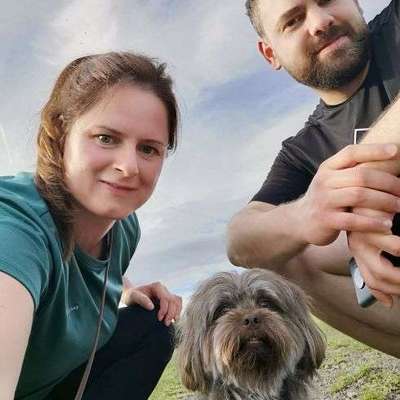 Hundetreffen-Gemütliche Gassi-Runde im FFH-Gebiet-Bild
