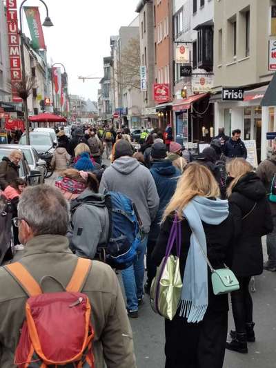 Windhunde - Treffen der besonderen Schönheiten
HERZLICH WILLKOMMEN-Beitrag-Bild