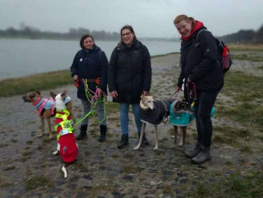 Windhunde - Treffen der besonderen Schönheiten
HERZLICH WILLKOMMEN-Beitrag-Bild