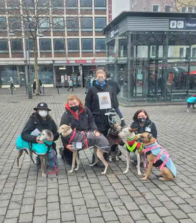 Windhunde - Treffen der besonderen Schönheiten
HERZLICH WILLKOMMEN-Beitrag-Bild