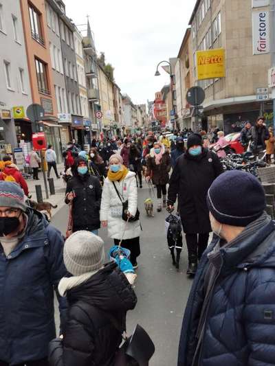 Windhunde - Treffen der besonderen Schönheiten
HERZLICH WILLKOMMEN-Beitrag-Bild