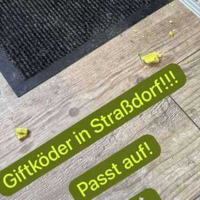 Giftköder-Giftköder-Bild