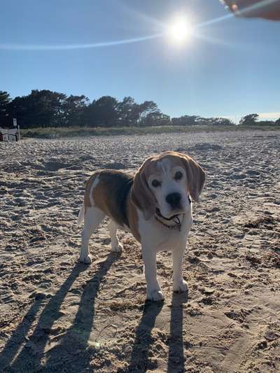 7. Kurzgeschichten Challenge: Spaziergang am Strand-Beitrag-Bild