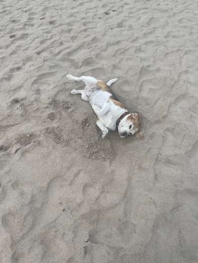 7. Kurzgeschichten Challenge: Spaziergang am Strand-Beitrag-Bild