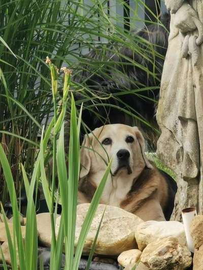 Theos  Fotochallenge Nummer 2-Beitrag-Bild