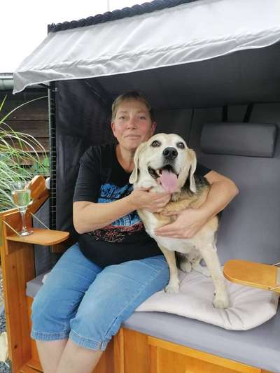 Dogorama Photo Challenge - Tierischer Urlaub-Beitrag-Bild