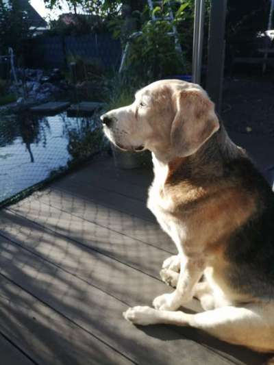 Farben Fotochallenge Sonnenlicht-Beitrag-Bild