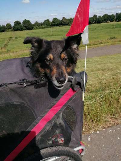 Theos  Fotochallenge Nummer 2-Beitrag-Bild