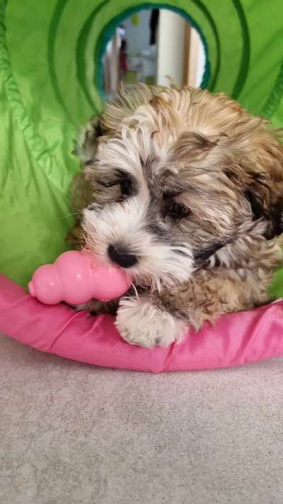 Foto Challenge Nr. 136-Beitrag-Bild