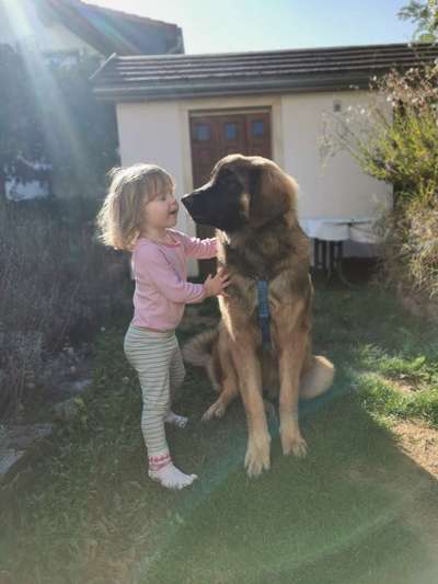 Zeigt her eure Kolosse!-Beitrag-Bild