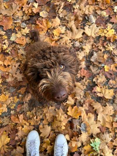 Ton in Ton-Beitrag-Bild